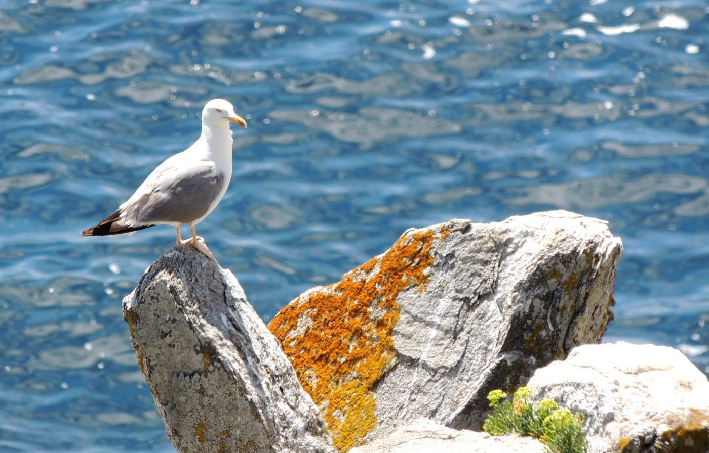 Isla de Ons, Parque Nacional de las Islas Atlánticas