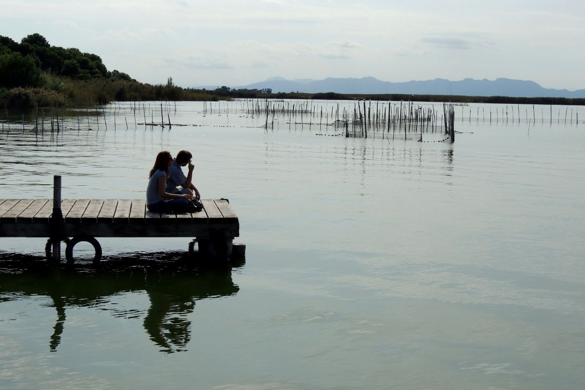 Albufera de Valencia, naturaleza y arrozales a un paso de la ciudad