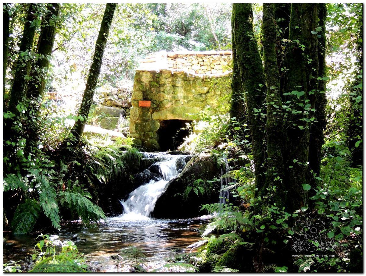 Ruta de la Piedra y el Agua en Ribadumia: Naturaleza, molinos y buen vino en Rías Baixas