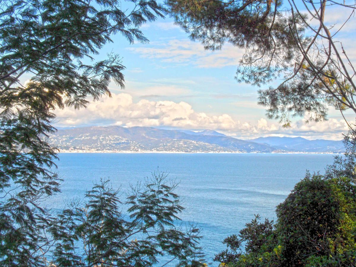 Escapada a Portofino y Rapallo, dolce vita por la Riviera italiana