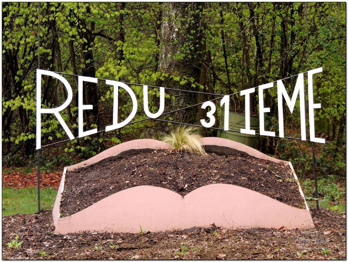 Redu, el pueblo del Libro