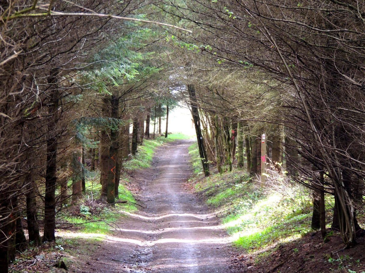 Parque Natural Des Deux Ourthes, la Bélgica más verde