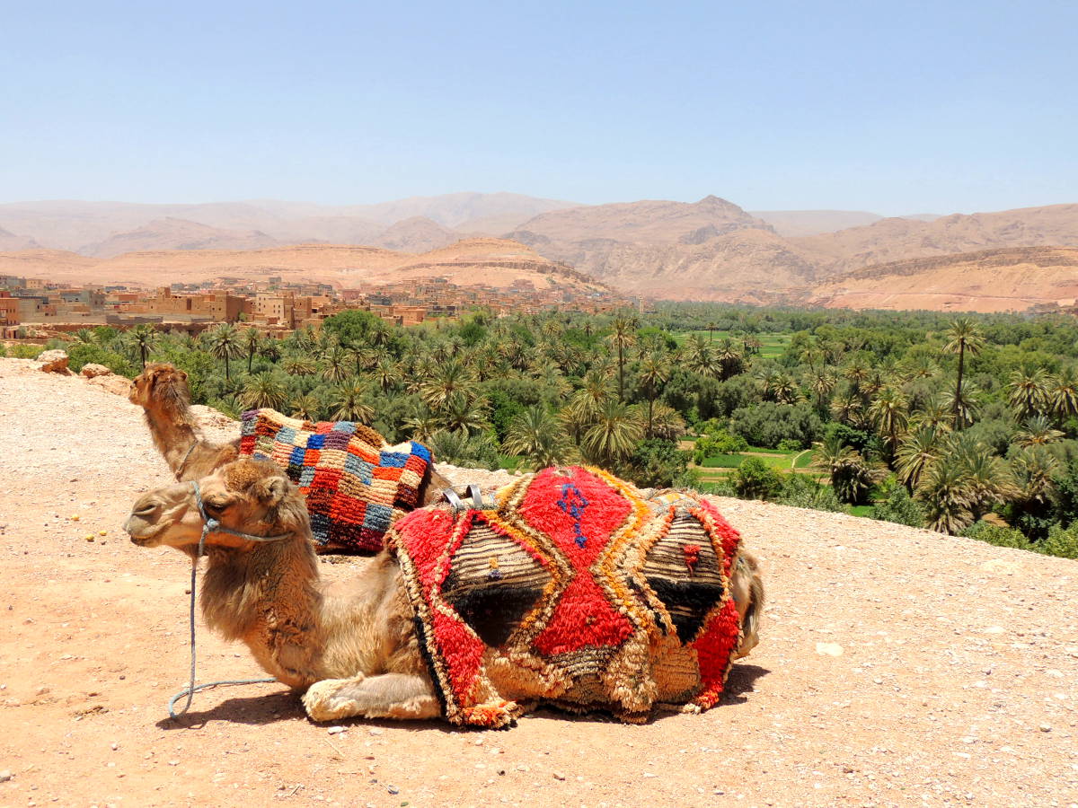 Boumalne Dades, al encuentro con los Imazighen