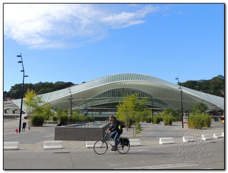 Estación Lieja Guillemins obra del arquitecto español Calatrava