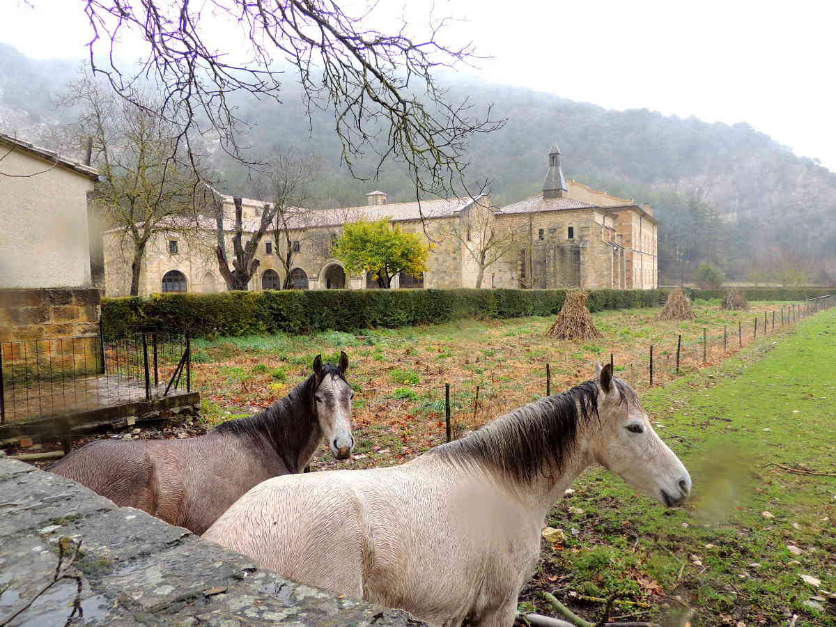 Santa María de Iranzu