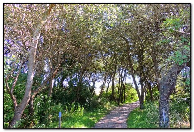 Acceso a la Reserva Natural de Westhoek - De Panne
