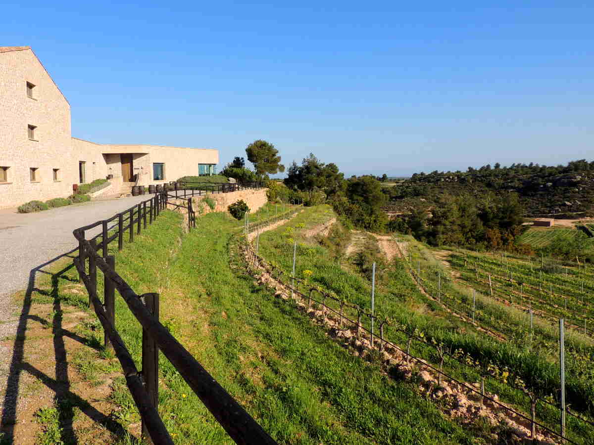 Bodega Clos Pons enoturismo DO Costers del Segre (Lleida)