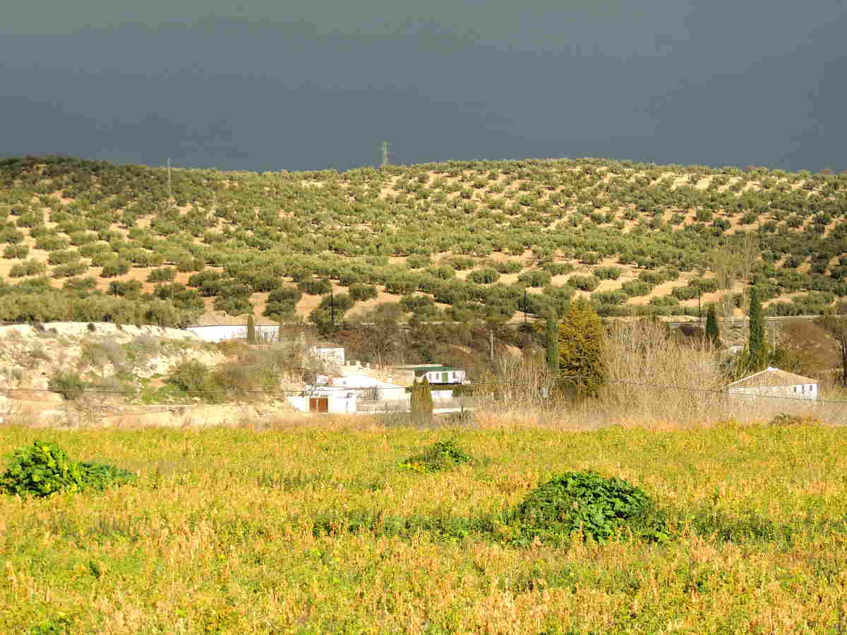 Loja, la ciudad del agua (Granada)