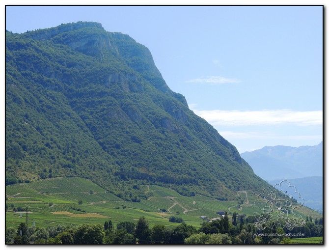 Viñedos de Chignin en las faldas del Macizo des Bauges