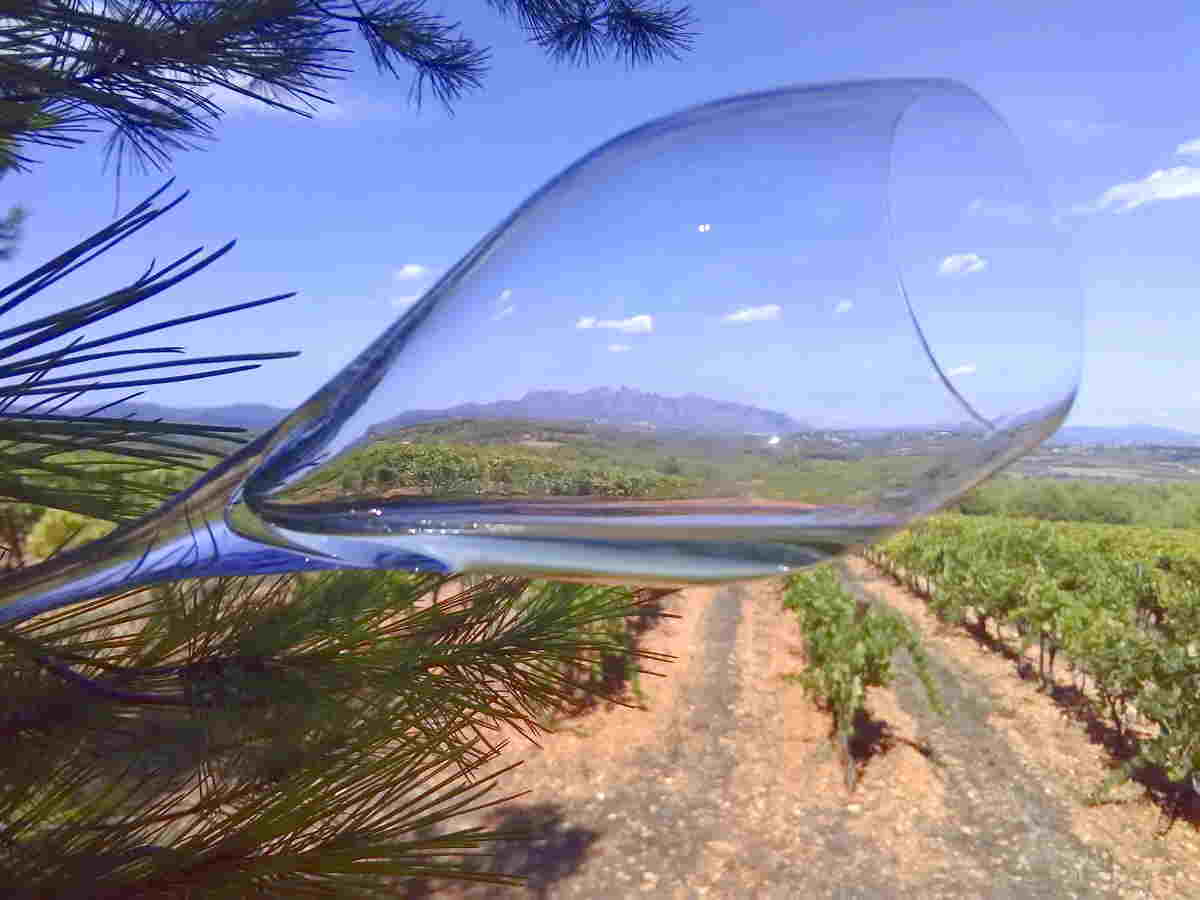 Recaredo el alma del Penedès
