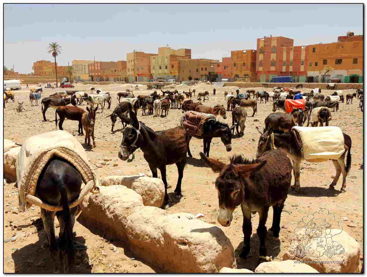 Rissani, lugar de leyenda a las puertas del desierto