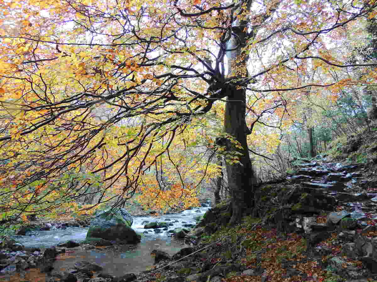 La desconocida Cantabria