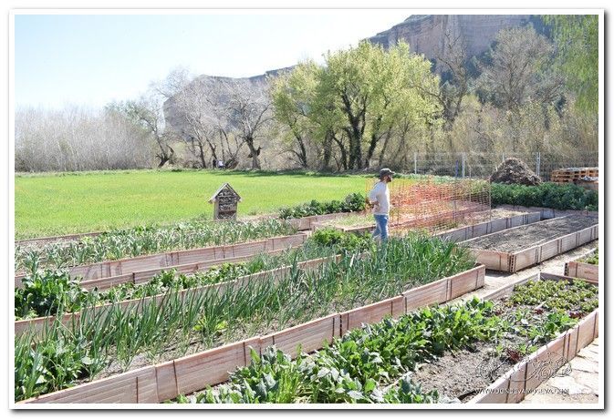 Las huertas. otro imprescindible por el que merece la pena visitar Ballobar