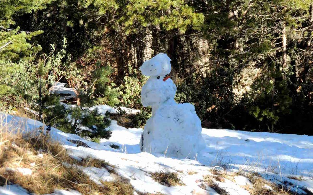 Consejos para planificar tu escapada a la nieve sin sobresaltos