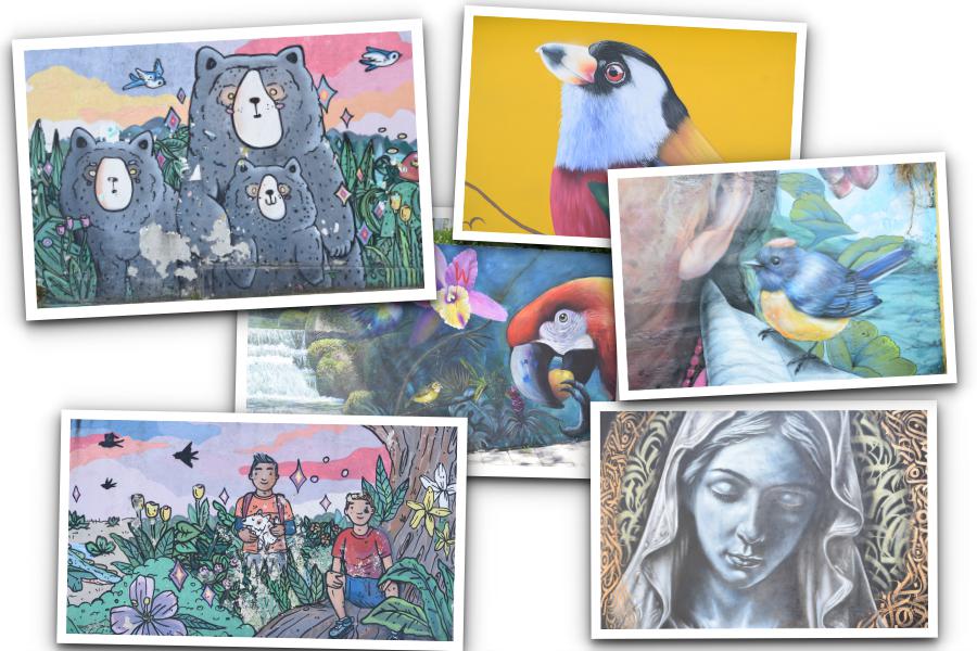 Murales con la naturaleza nariñense como protagonista en el centro de Pasto 