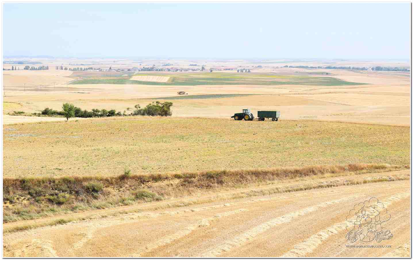 Campos de Castilla Palencia Camino de Santiago