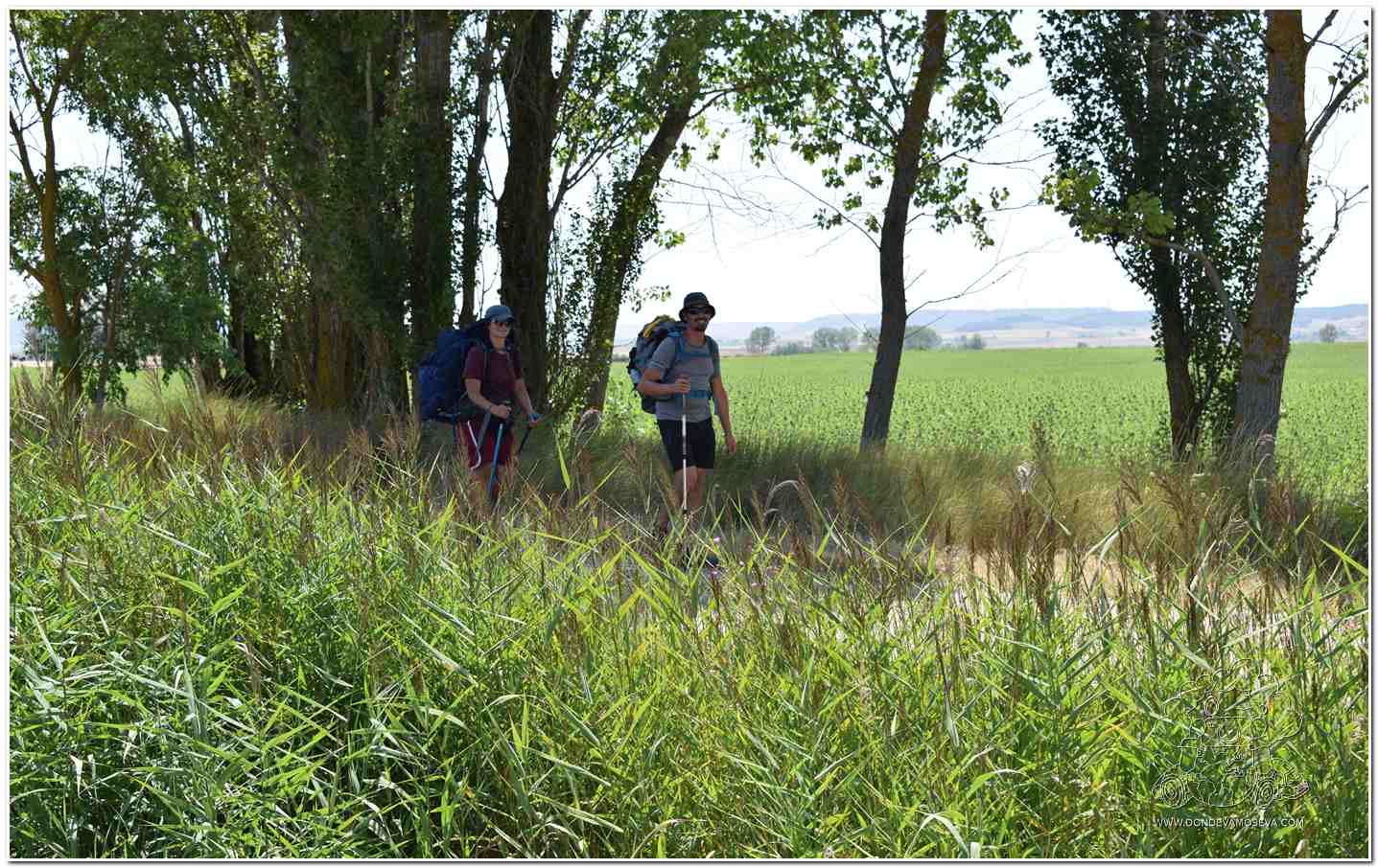 Peregrinos Camino de Santiago  Canal de Castilla Frómista  Palencia