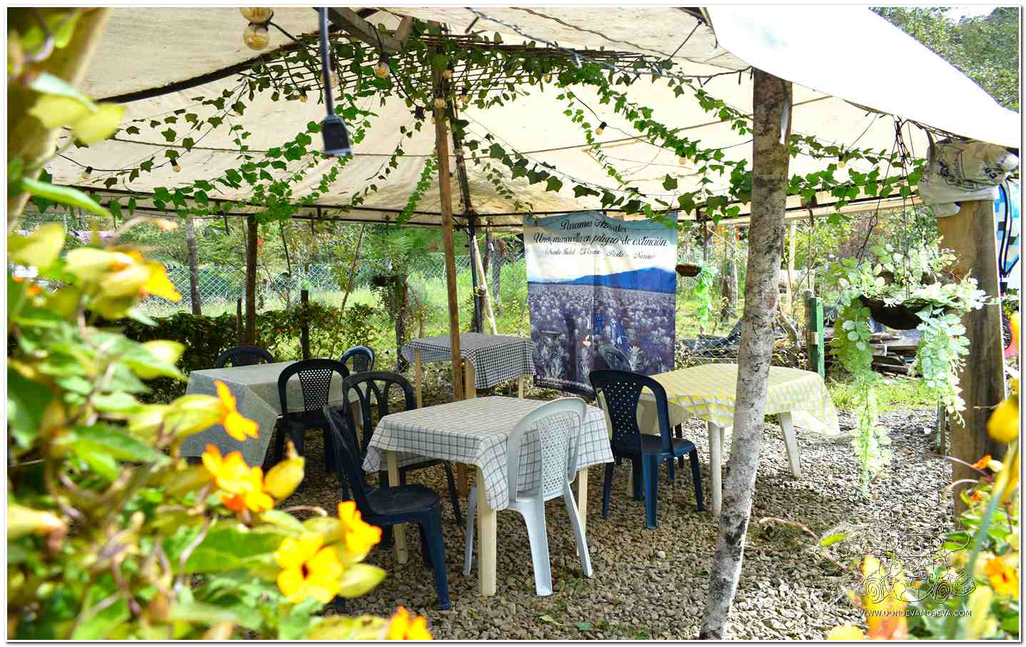 Espacio común Ayura Club Naútico La cocha Nariño Colombia