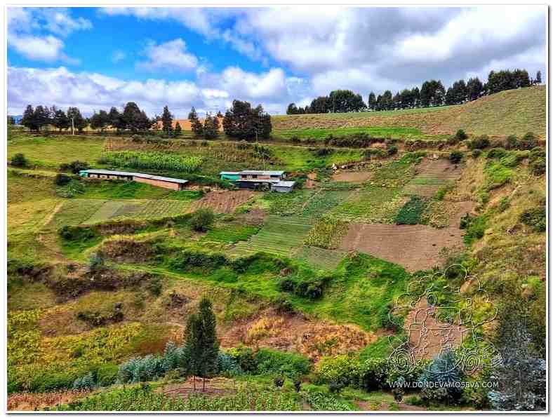 Aprovechamiento agrícola de laderas sorpresas en nuestra ruta de senderismo de Catambuco a Obonuco