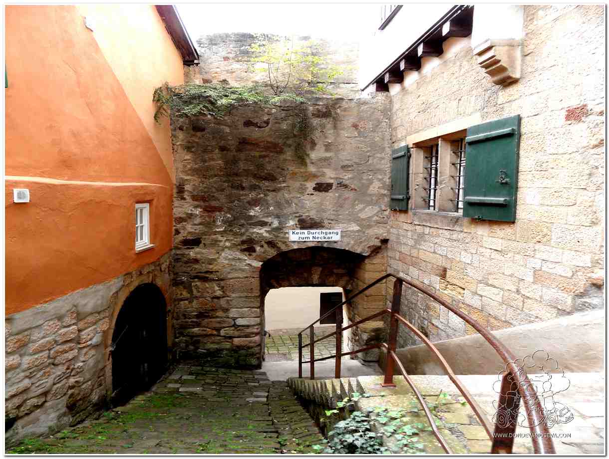 Neckarbad Tübingen Selva Negra Alemania