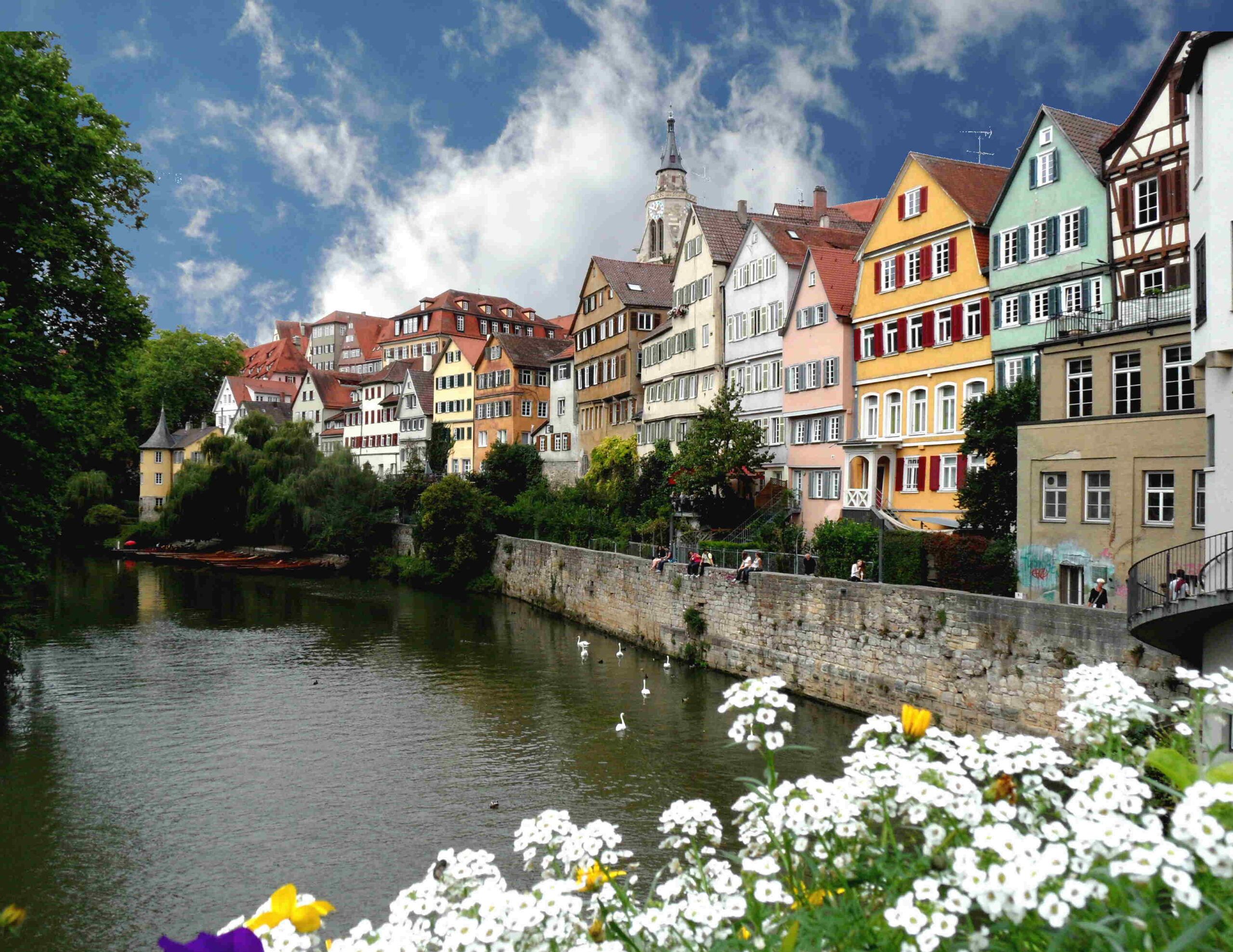 Zwingel Tübingen Selva Negra Alemania