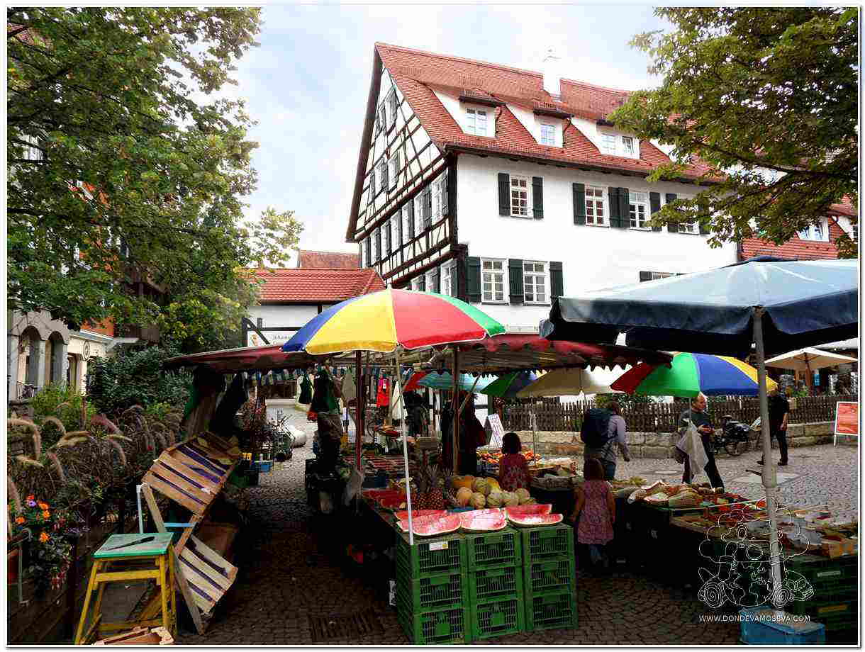amer y mercado fruta Tübingen Selva Negra Alemania