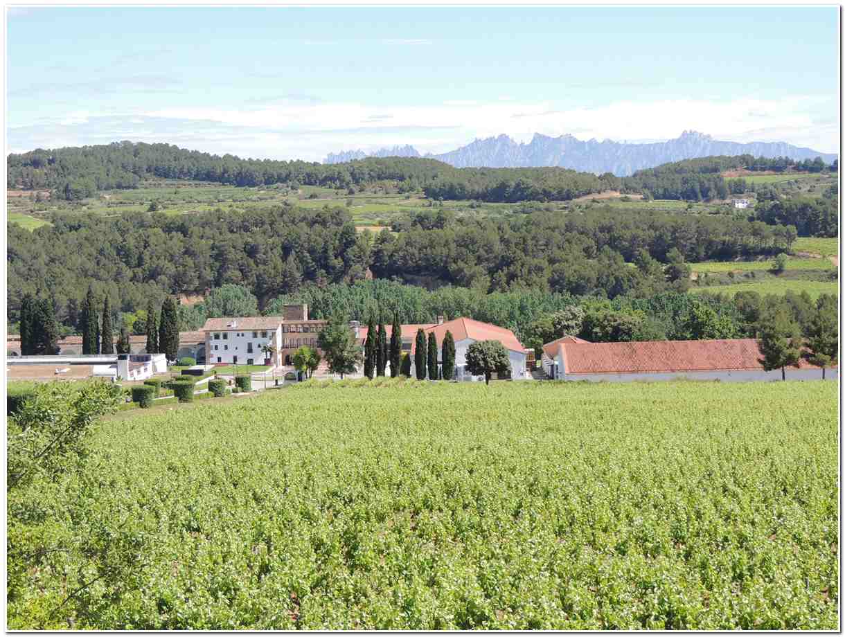 Bodegas viñedos Penedès ruta camper por Cataluña