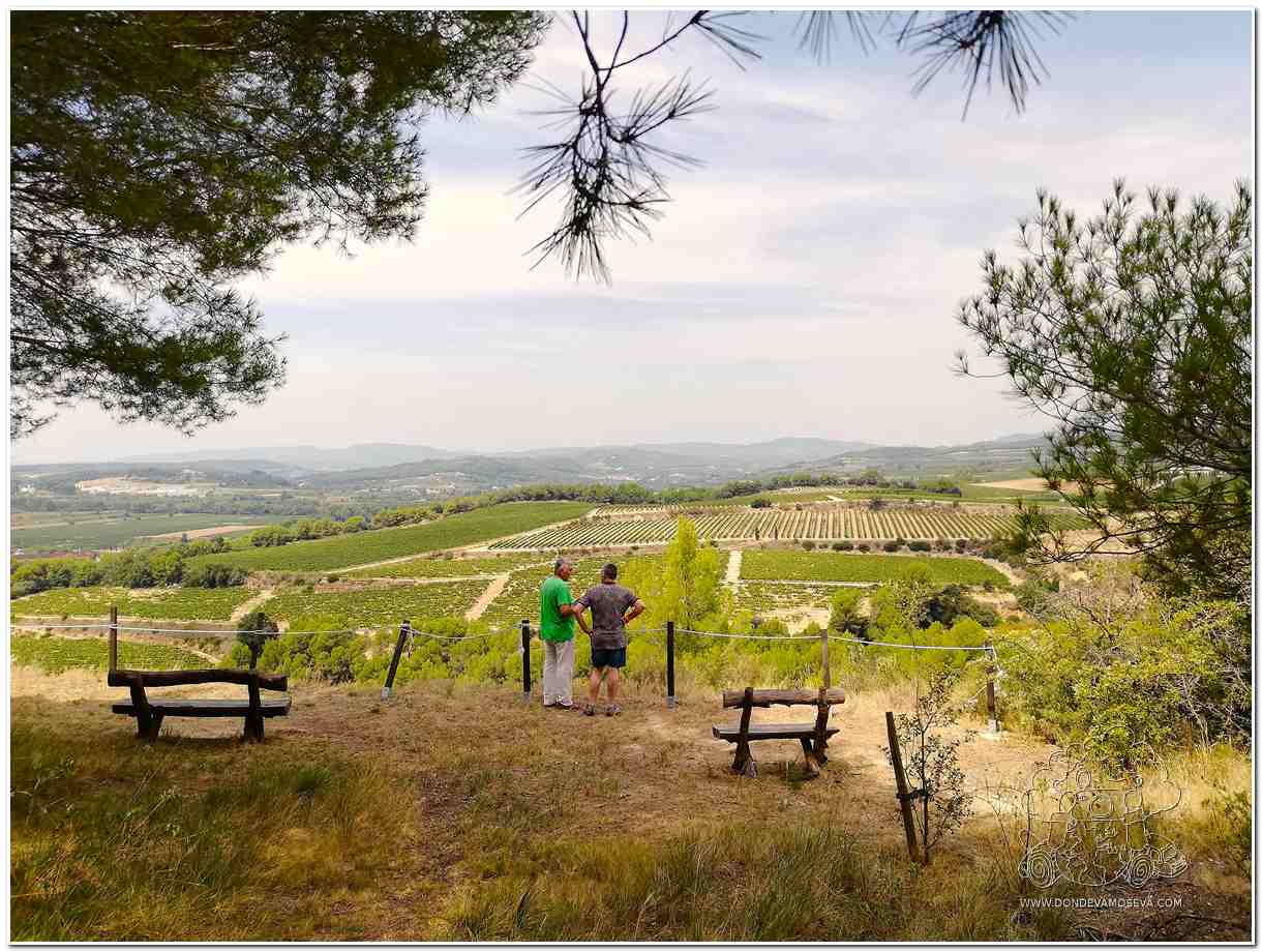 Miranda dEspiells Sant Sadurni d'Anoia PenedesBarcelona
