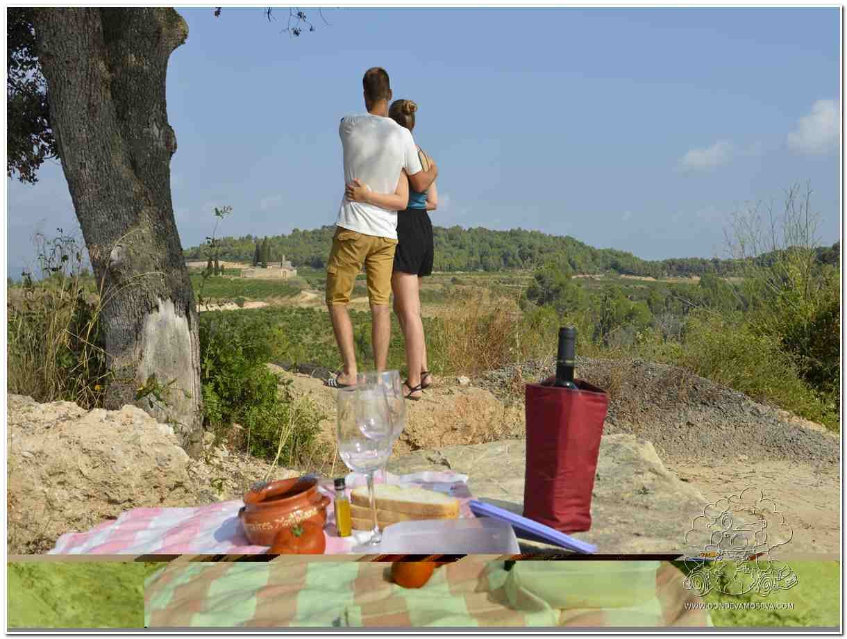 ruta camper en el Penedès rutas del vino Barcelona Cataluña