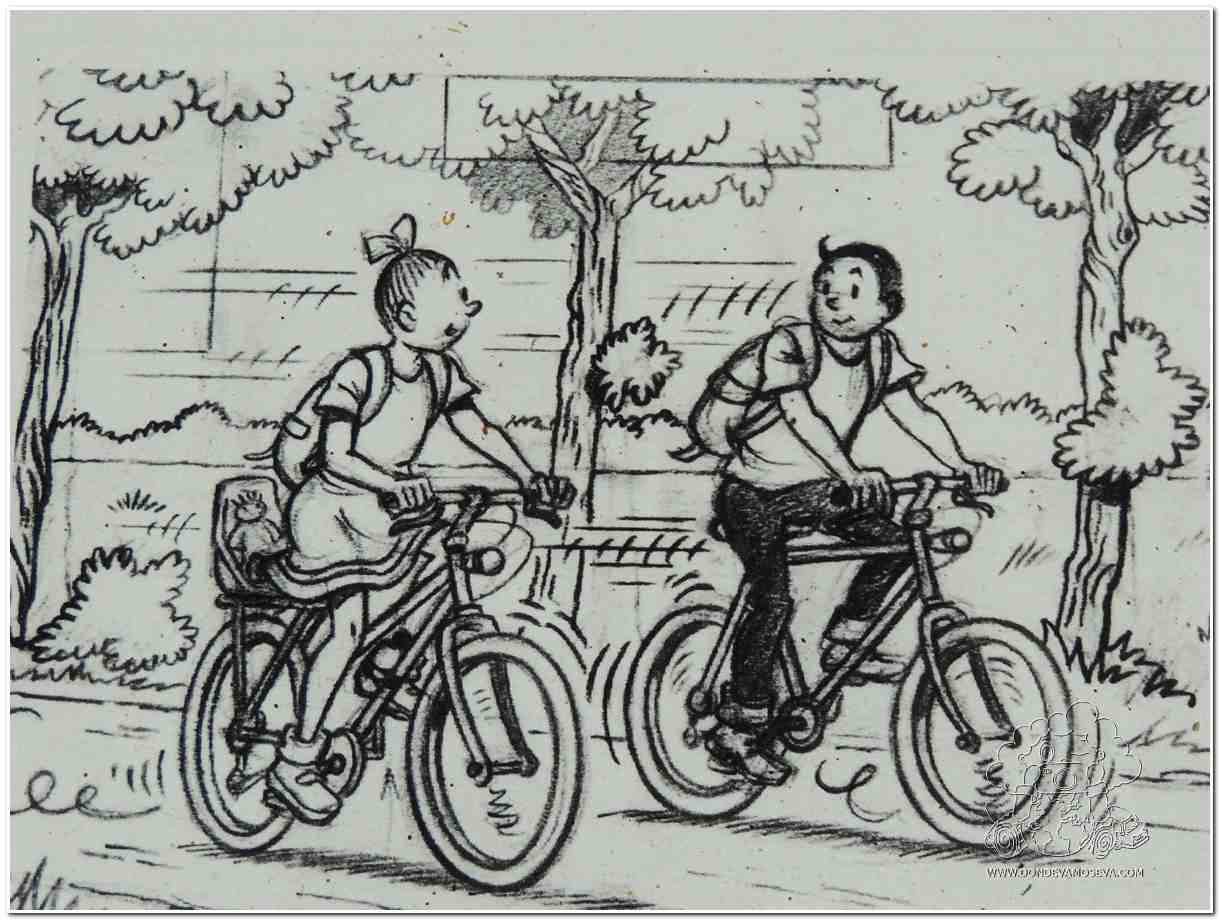 La bici medio transporte más utilizado bélgica