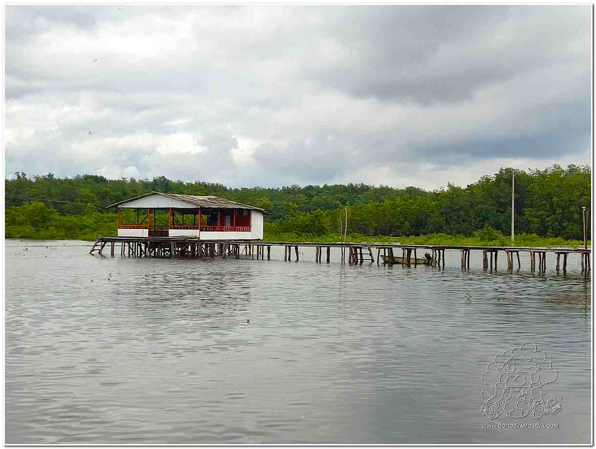 Isla BocaGrande Pacífico Nariño Colombia