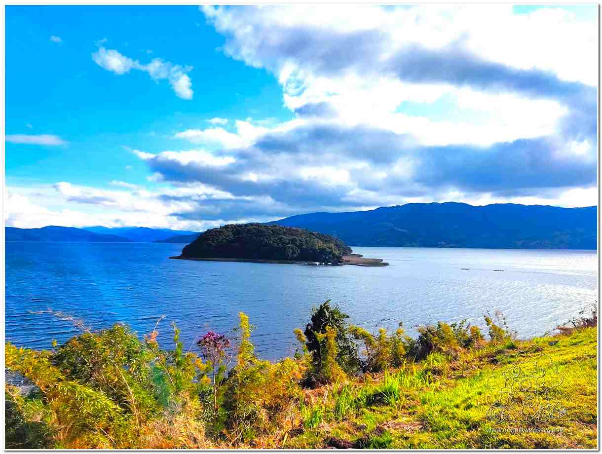 Santuario de Flora Isla de la Corota Parque Nacional más pequeño de Colombia