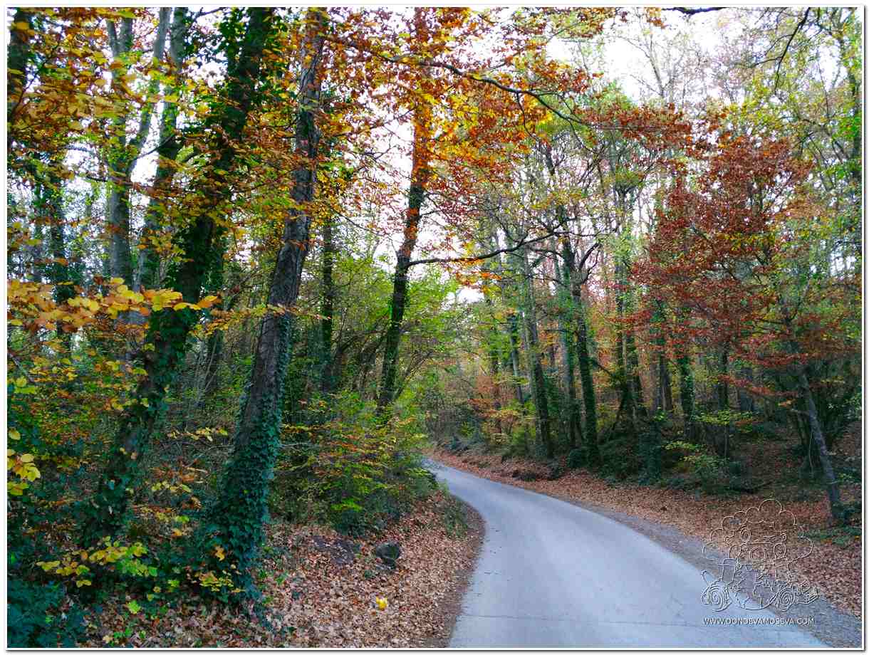 Paisaje Vía Verde La Garrotxa 