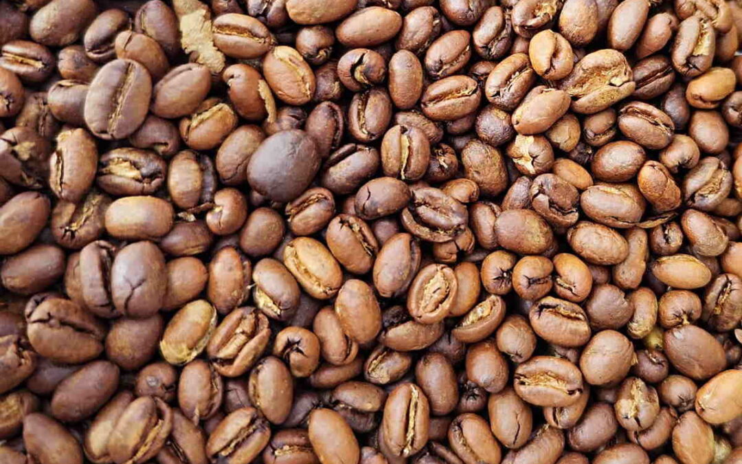 Ruta del café de Pasto (Colombia), los mejores lugares de la ciudad para saborearlo