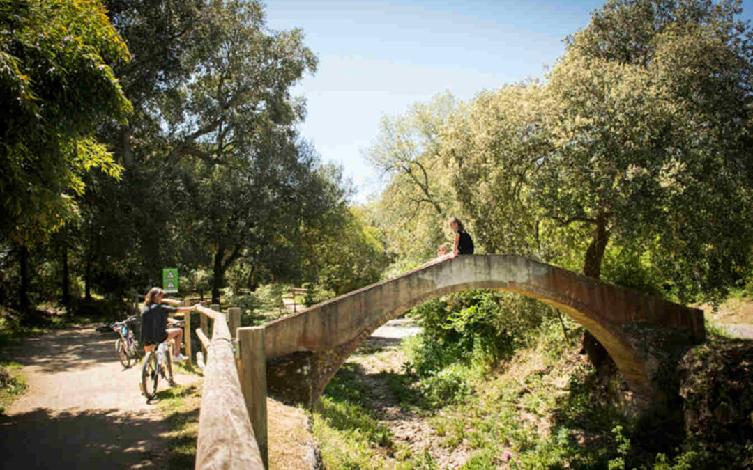 3 Rutas por Girona en bici a través de las Vías Verdes