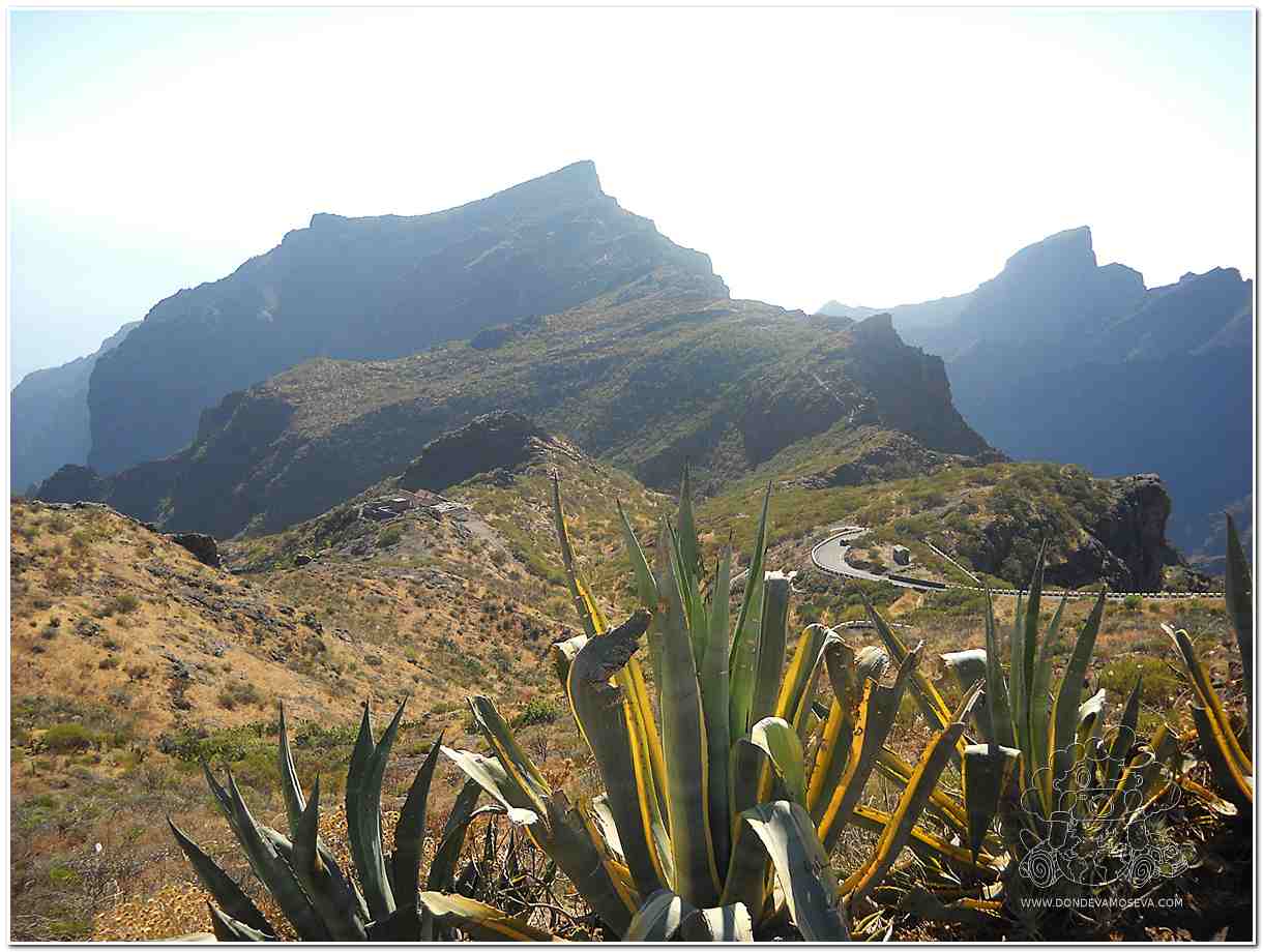 Panorámica de Los Gigantes playa idela para practicar SUP Paddle surf en Tenerife