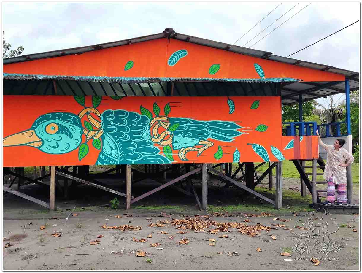 Cabañas Ecolodge Las Lilianas Bocagrande Tumaco Colombia