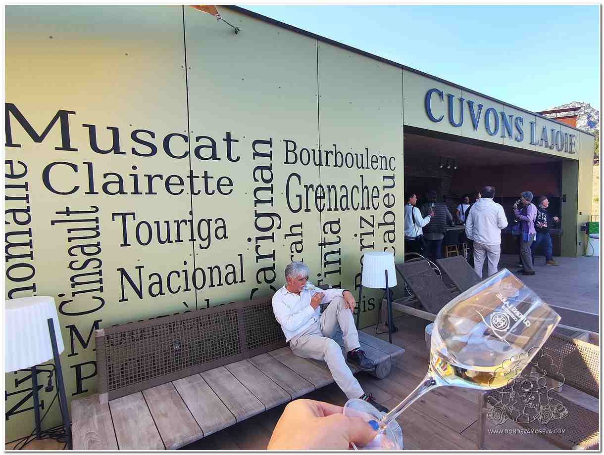 Cosmicus bodega Sur de Francia Pirineos Orientales