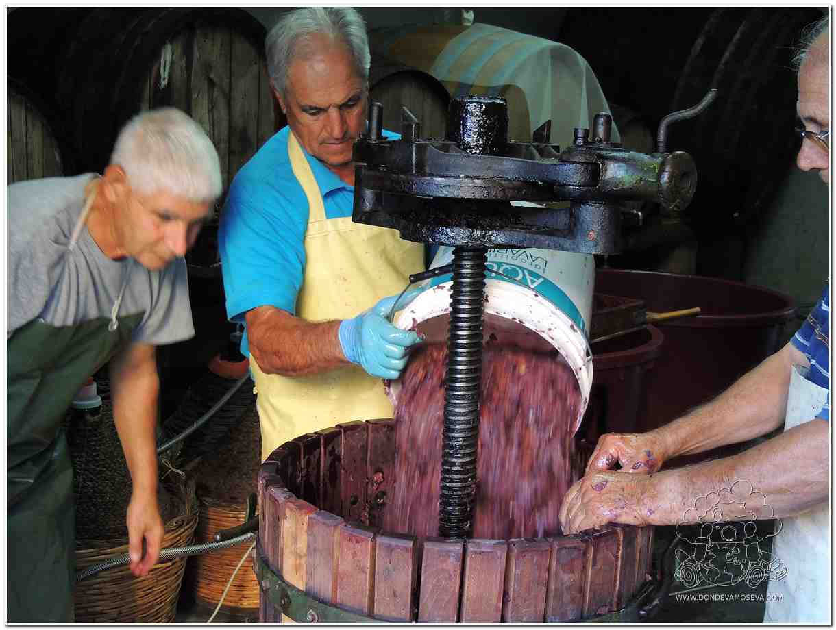 Elaboración vino artesanal Cabras Cerdeña Italia