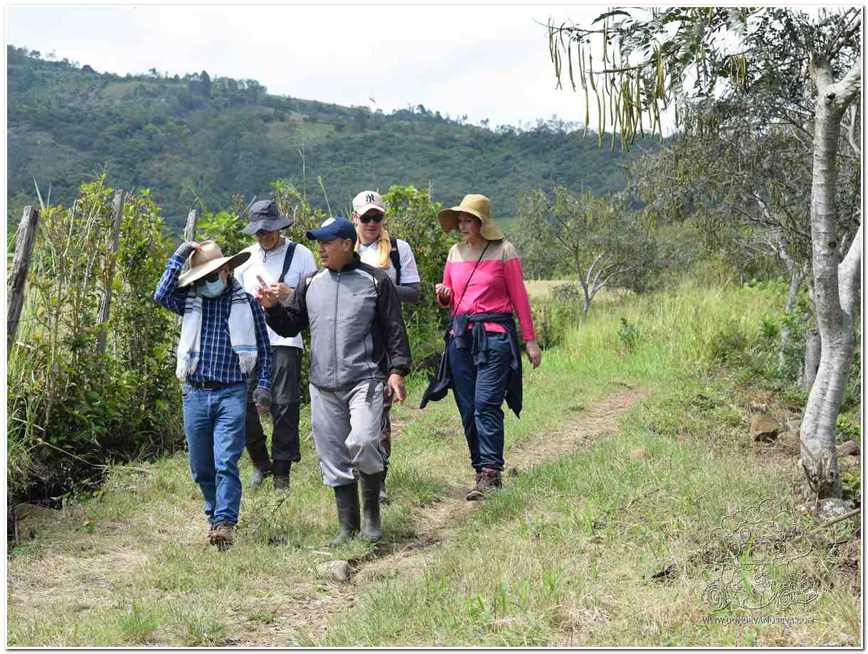 Excursión al río Cariaco