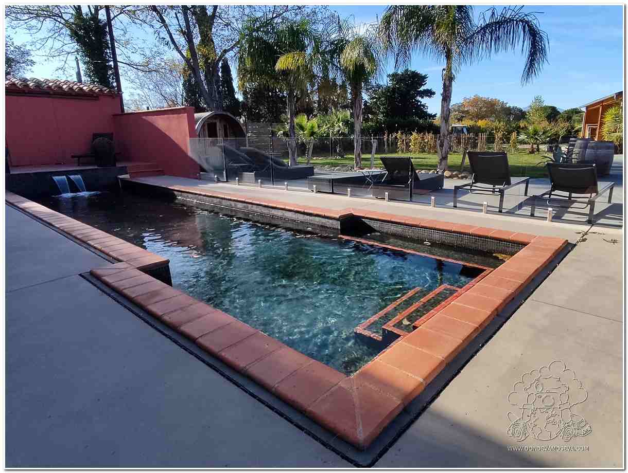 Mas Latour Laval zona exterior piscina y jardines