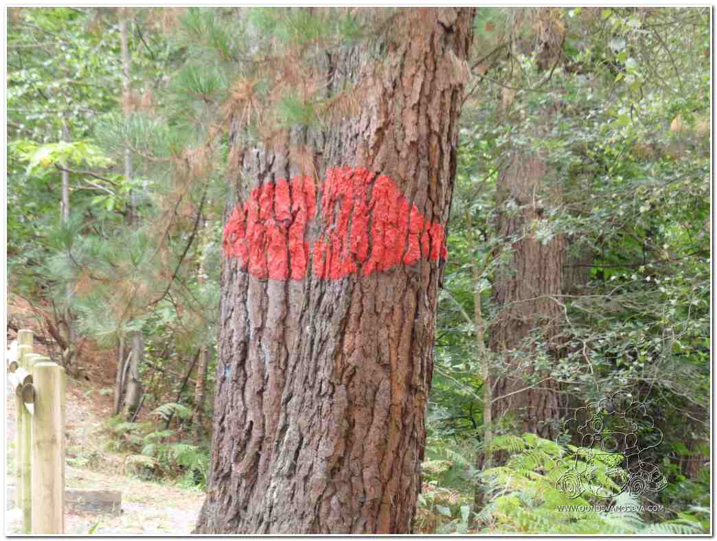 beso-artland-agustin-ibarrola-oma-euskadi