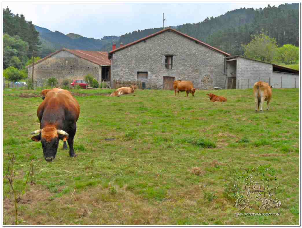 Qué ver en los alrededores del bosque