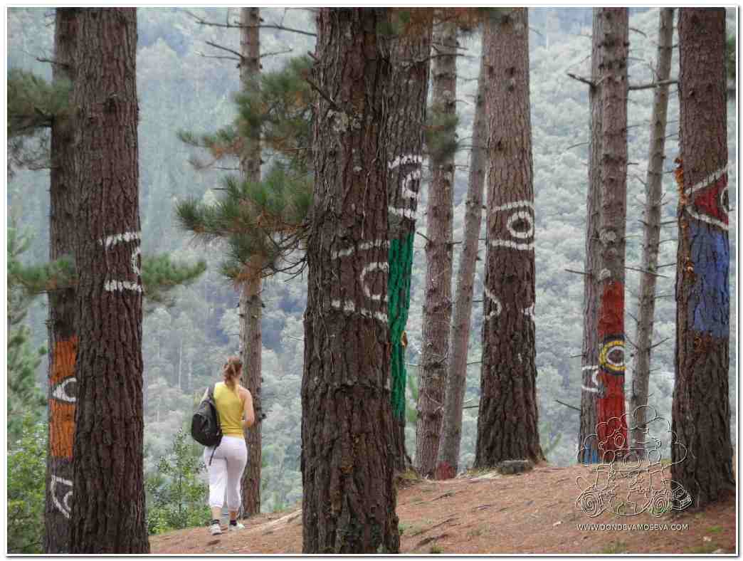 senderismo-bosque-oma-euskadi