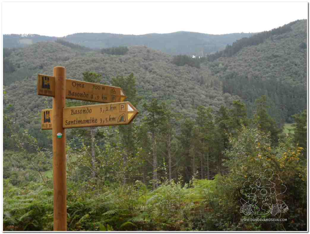 senderos-rutas-alrededores-bosque-oma-kortazubi-bizkaia