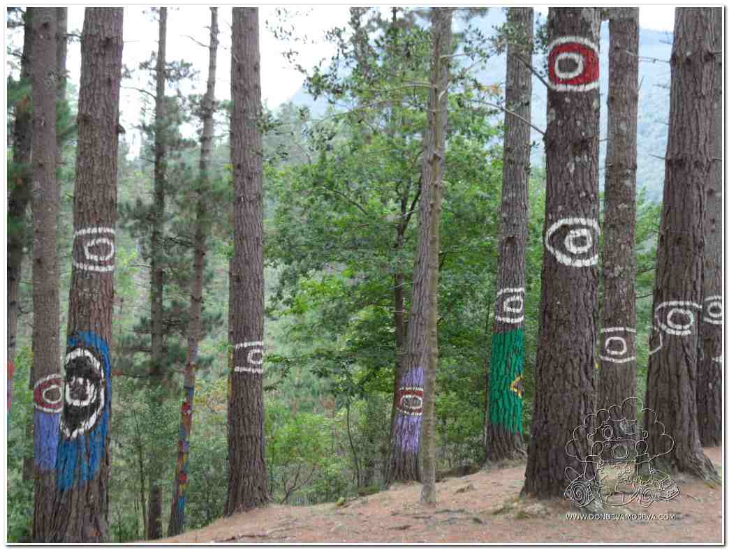 Vista del Bosque de Oma con las pinturas de Ibarrola entre los árboles Bizcaia País vasco España