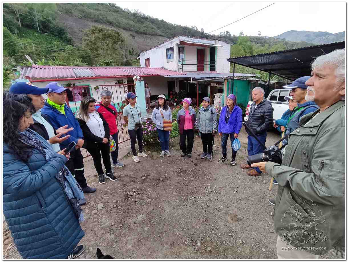 Avistamiento de aves en el Santuario de Flora y Fauna Volcán Galeras junto a Asoguáitara