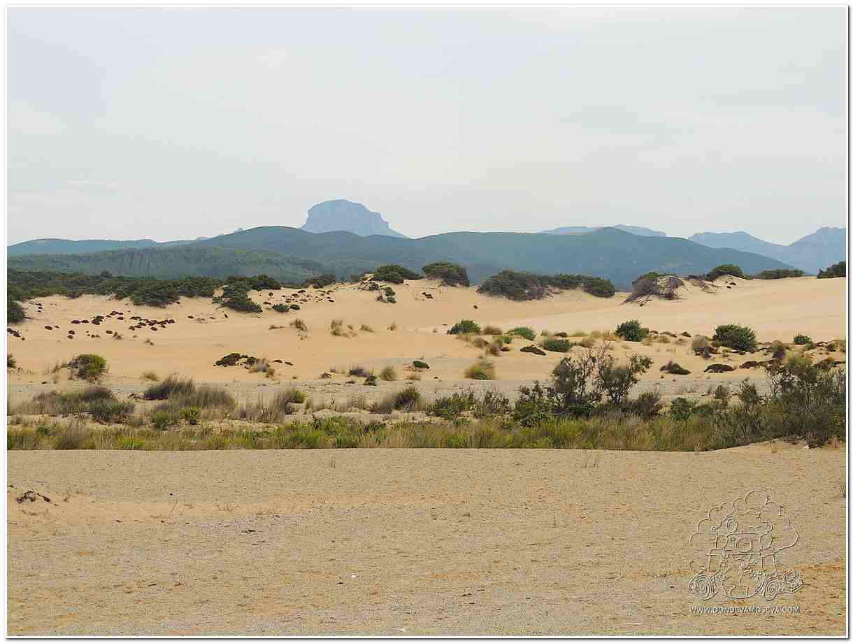 Dunas doradas de la playa Piscinas en la Costa Verde de Cerdeña al atardecer.