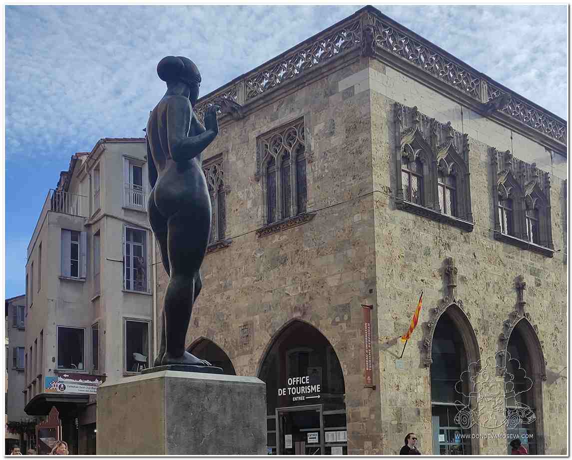 Plaza de la Loge en el casco antiguo de Perpiñán, con arquitectura medieval y ambiente local.