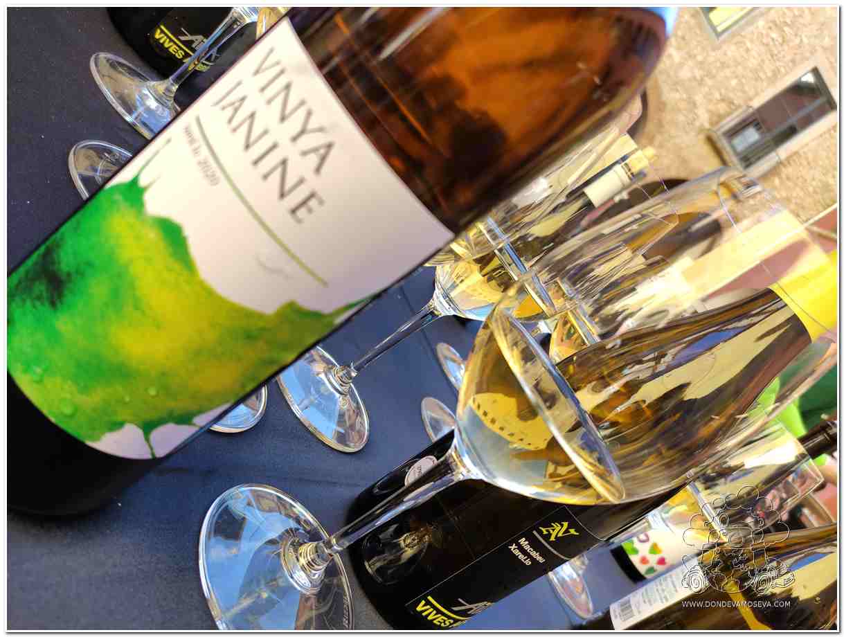 Botellas de vino de Vinya Janina, Denominación de Origen Tarragona